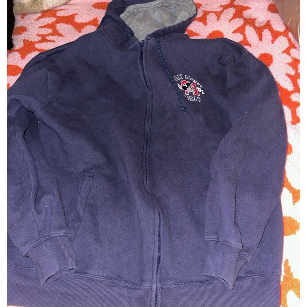 Walt Disney 1971 hoodie - Picture 1 of 5